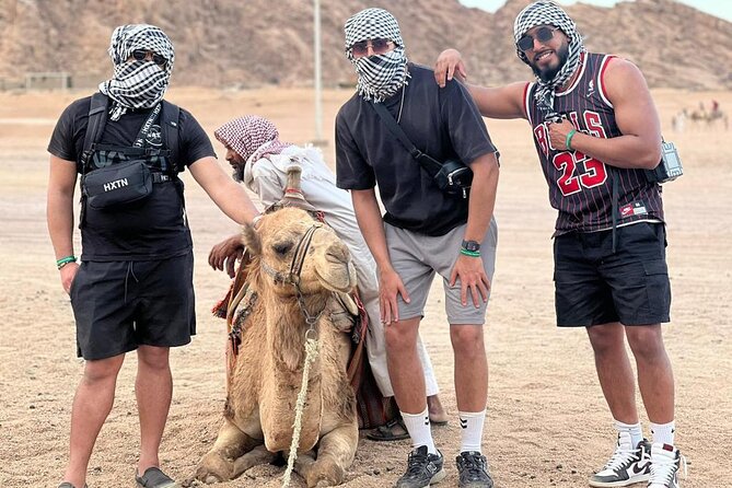 Safari 5 in 1 Quads, Camels, Show, Dinner & Star Gazing in Sharm El Sheikh - The camel stop and Bedouin welcome