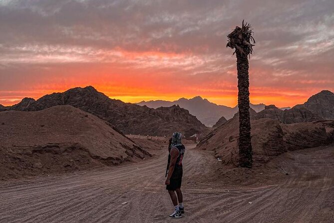Safari 5 in 1 Quads, Camels, Show, Dinner & Star Gazing in Sharm El Sheikh - Practical advice for a smoother evening