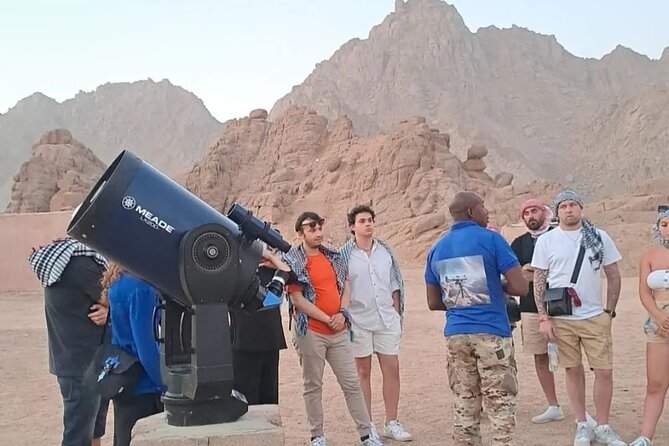 Safari 5 in 1 Quads Camels Star Gazing in Sharm El Sheikh - Tea, camels, and Bedouin bread