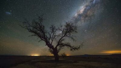 Guided Atacama Desert Stargazing Tour