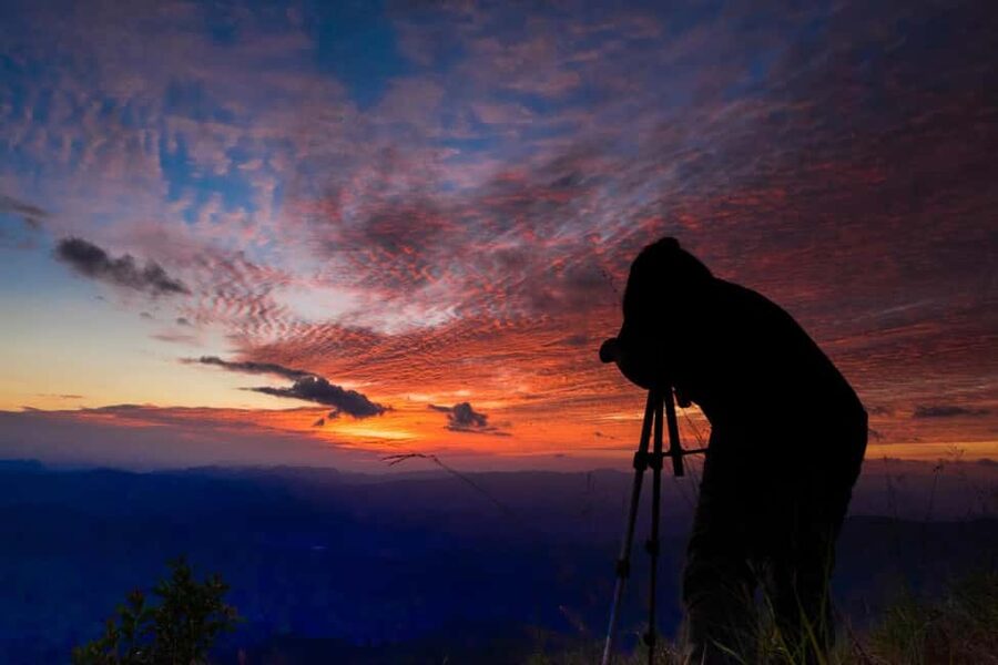 Sharm El-Sheikh: Camel Riding, Stargazing, BBQ Dinner & Show - The night sky is the real finale