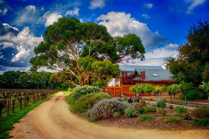 Small-Group River Murray Dark Sky and Sunset Tour with Dinner - Cold weather can shape the whole evening