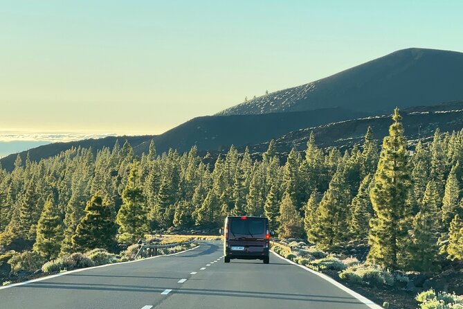 Small Group Teide Stargazing Tour with Picnic at Sunset - Who will get the most from this tour
