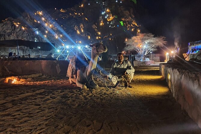 Star Gazing & Bedouin Dinner Trip in Sharm El Sheikh Desert - An astronomy session under the Sinai sky