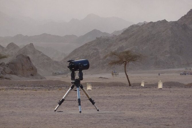 Star Gazing & Bedouin Dinner Trip in Sharm El Sheikh Desert - A camel ride with a gentle pace