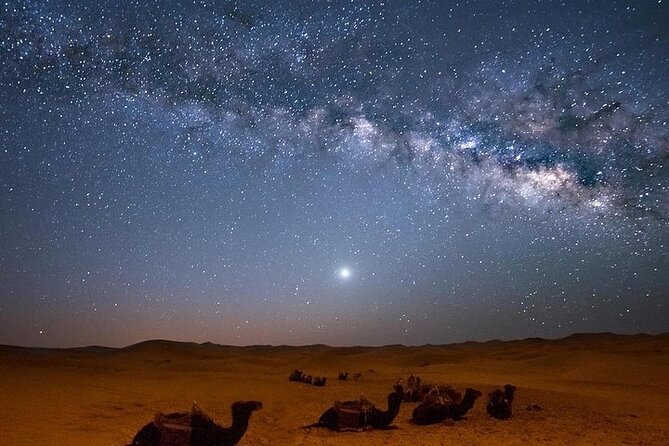 Star Gazing Safari tour By ATV Quad, Bedouin Dinner, telescope - Sharm El Sheikh - Key points to know before booking