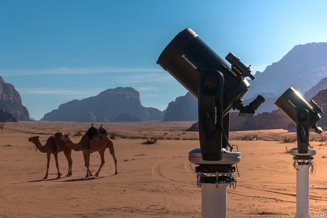 Stargazing Adventure in Jordan - Key points before you book