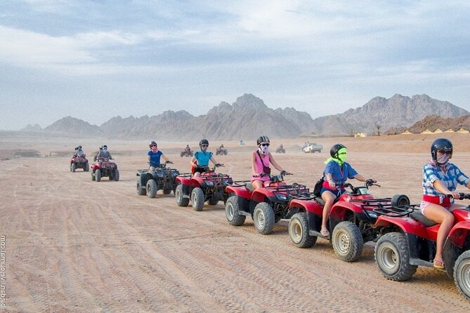 Stargazing And ATV Quad Bike And Camel Ride And Dinner With Show - The camel park and Bedouin tea stop