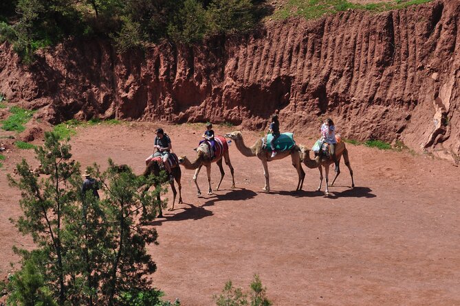 Stargazing and camel ride in the agafay desert - A quick desert escape from Marrakech
