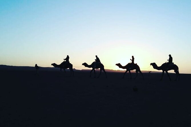 Stargazing and camel ride in the agafay desert - What the $94.24 price buys you
