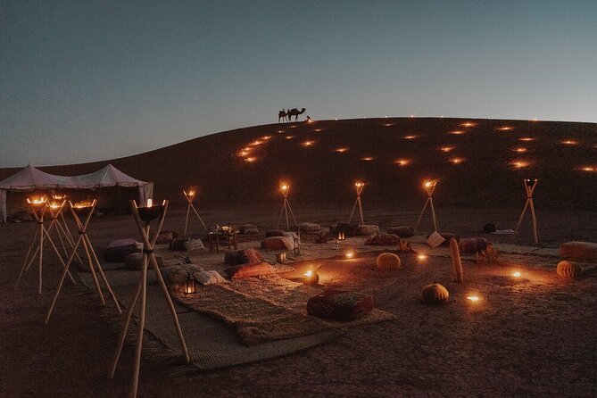 Stargazing Desert Jeep Excursion with Dinner in Hurghada - Camel riding and Bedouin tea
