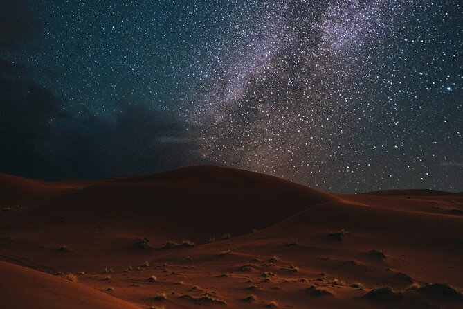 Stargazing in the Desert from Riyadh with Dinner - A chance to meet camel herders