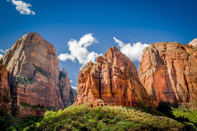 Stargazing in Zion National Park's International Dark Sky - Key points to know before booking