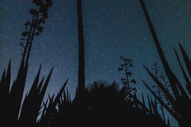 Stargazing Night in the Tabernas Desert - Getting to the meeting point without stress