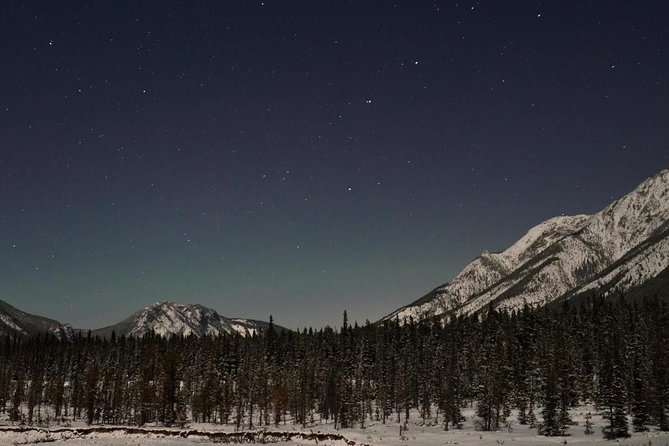 Stargazing Tour - Kananaskis After Dark - Following a moonlit forest trail