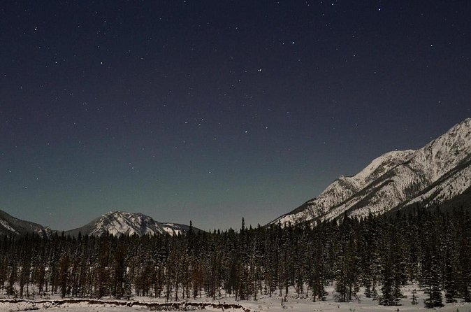 Stargazing Tour - Kananaskis After Dark - Group size, pace, and who will enjoy it most