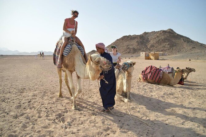 Super Safari 5In1quad Camel Ride Dinner African Nubian show star gazing in sharm - A short camel ride at the Bedouin camp