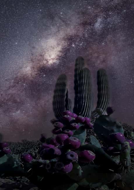 Tabernas Desert: Stargazing with Telescopes - Is $41 a fair price?