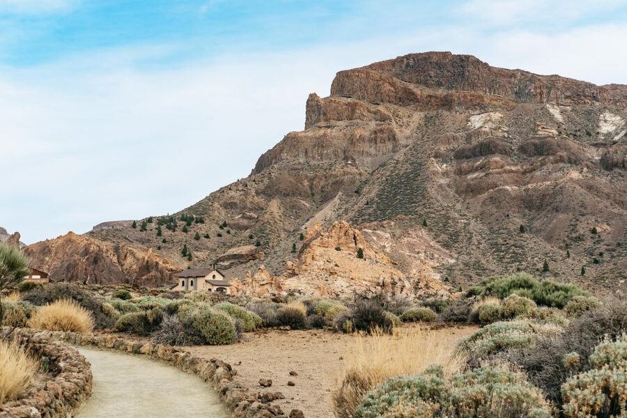 Teide: Guided Sunset & Stargazing Tour by Night with Dinner - Who should book this Teide night tour?