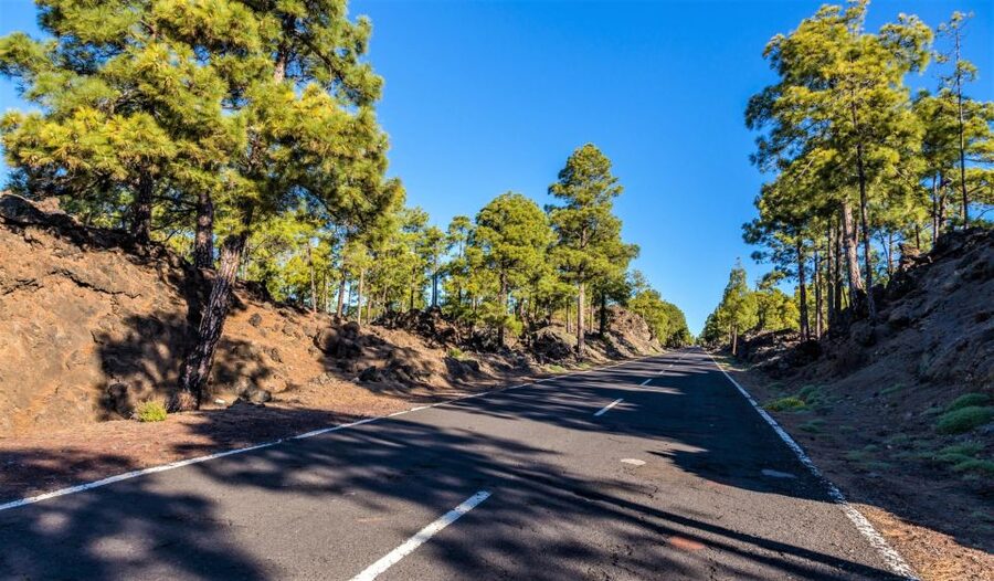 Teide: Guided Sunset & Stargazing Tour by Night with Dinner - Dinner inside the national park