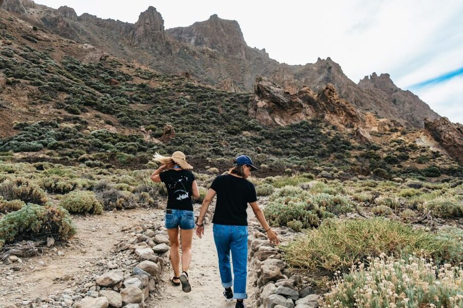Teide: Guided Sunset & Stargazing Tour by Night with Dinner - The ride home and the real cost of the day