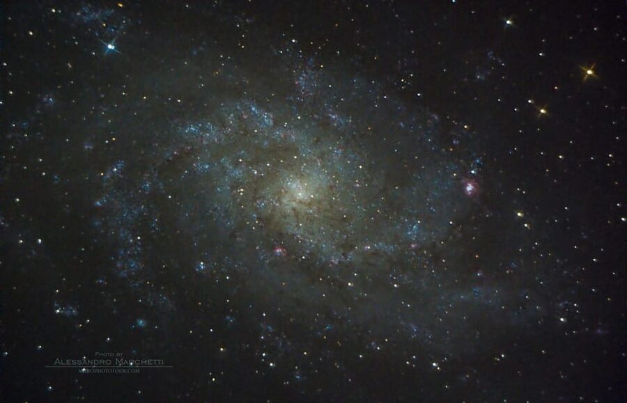 Teide National Park: Guided Large Telescope Stargazing Tour - A guide who can teach without talking down