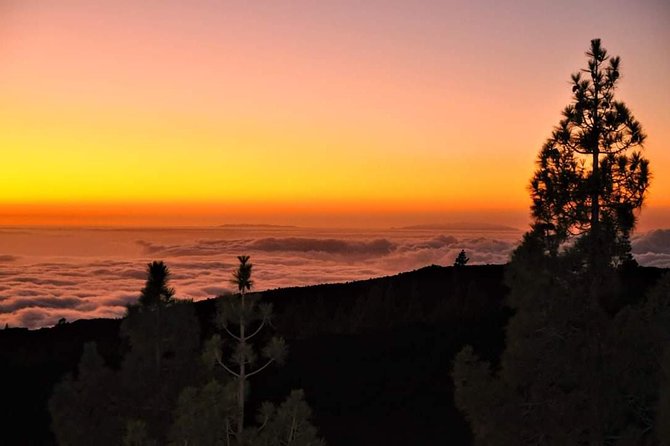 Teide National Park Sunset & Stargazing with Dinner (Star Safari) - Seeing the night sky through four telescopes