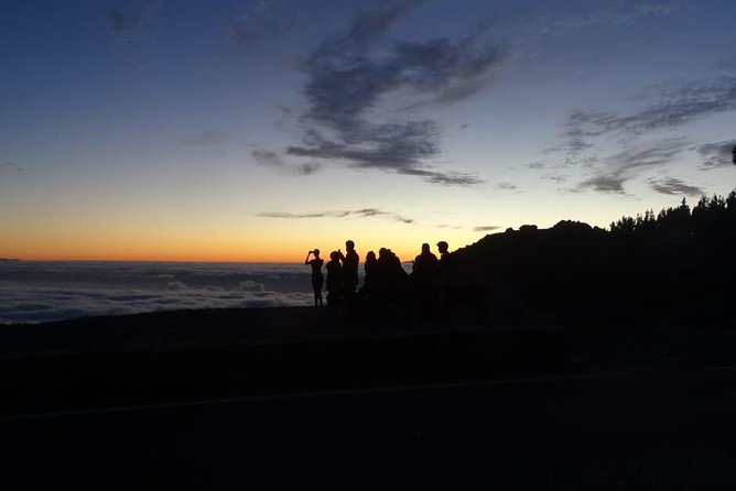 TEIDE NIGHT, Stargazing Bus Tour, Meal & Drinks included! - Laser-guided stargazing and telescope time