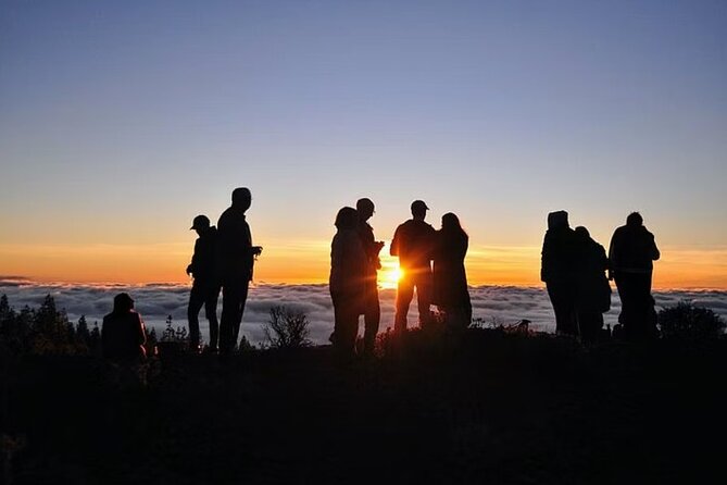 TEIDE NIGHT, Stargazing Bus Tour, Meal & Drinks included! - What the $117.11 price includes