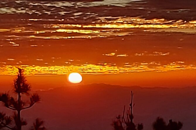 TEIDE NIGHT, Stargazing Bus Tour, Meal & Drinks included! - Who will enjoy this six-hour evening