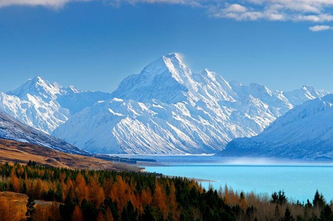 Tekapo Star Gazing Tour - Soak in the Stars - Is $117.29 a fair price?
