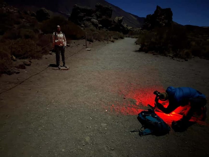 Tenerife: Stargazing Walk in Teide National Park - What the guide actually covers