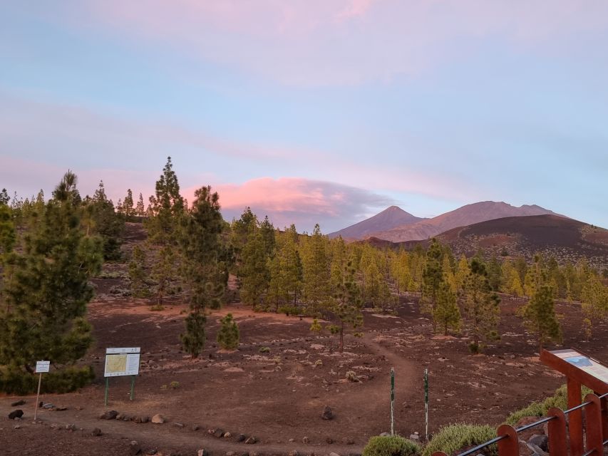 Tenerife: Sunset and Stargazing at Teide National Park - Is $47 good value?