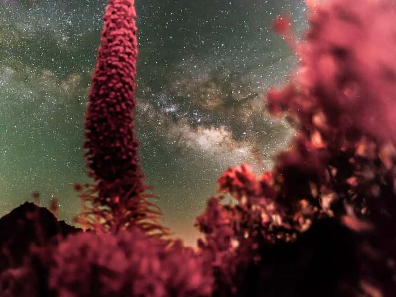 Tenerife: Teide Stargazing with an Astrophysicist - Group size, language, and the feel of the evening