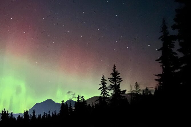 The Banff Stargazing Tour - 2hr Walking Tour - Night photography help for ordinary phones