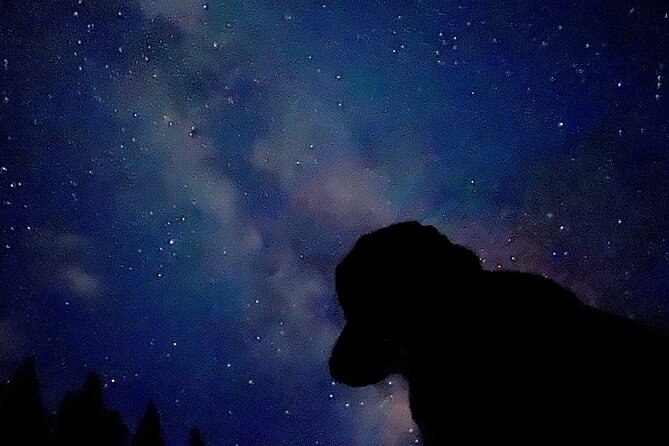 The Banff Stargazing Tour - 2hr Walking Tour - What the two hours really include