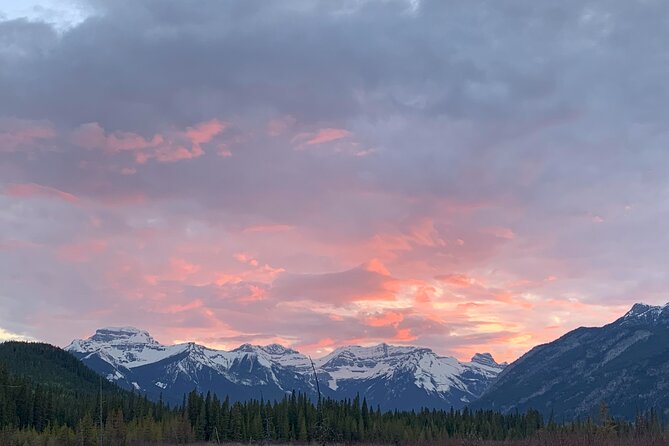 The Banff Stargazing Tour - 2hr Walking Tour - Is the $68.34 price fair?