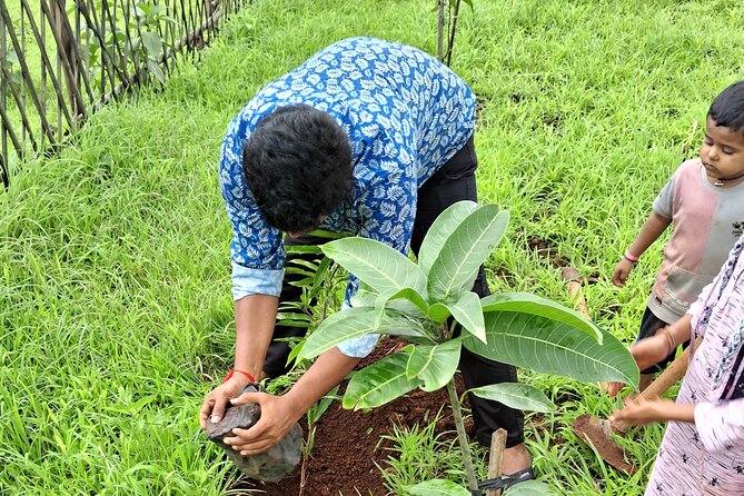 Tour De Small Town Maharashtra Nature Trekking and Star Gazing - A small-town escape from Mumbai