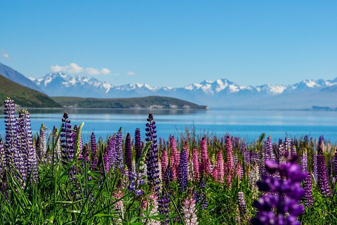 Twizel Stargazing Experience with a Guide (Carbon Positive) - Who will enjoy this most