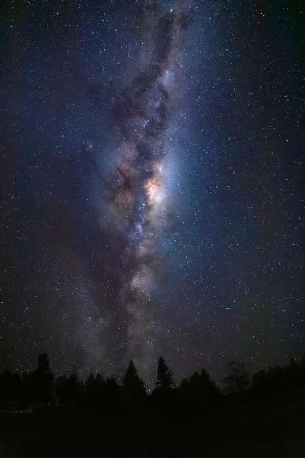 Twizel: Stargazing Tour with an Astronomer and Telescope - The telescope session: planets, nebulae, and galaxies