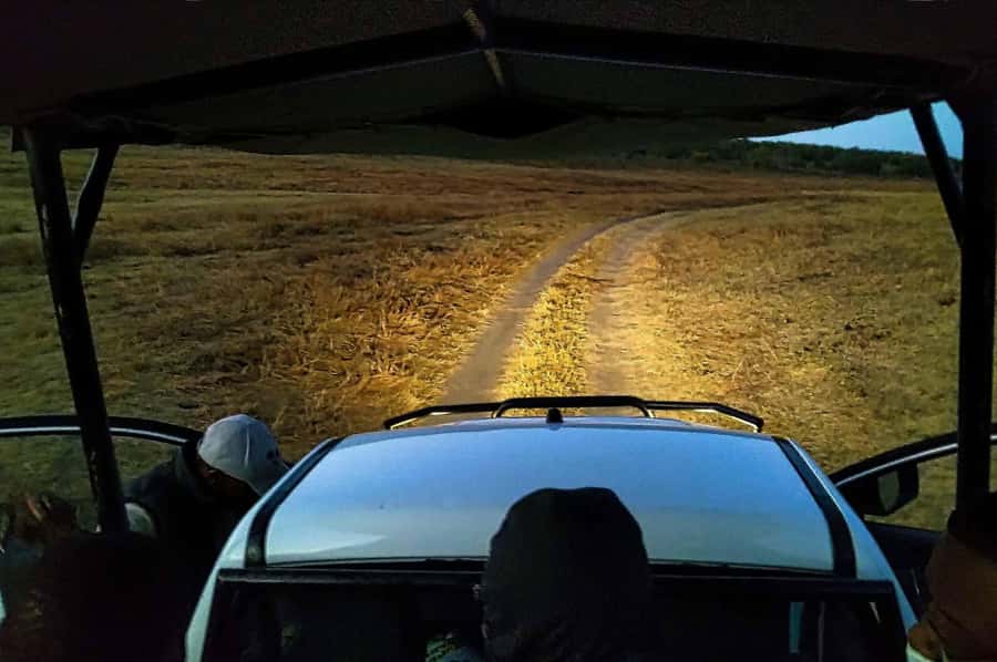 Victoria Falls: Bush Experience and Stargazing D-F-ES-GB - Key points to know before you book