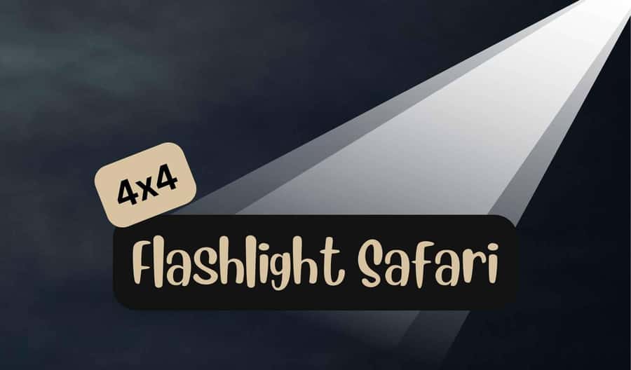 Victoria Falls: Bush Experience and Stargazing D-F-ES-GB - Taking part in the flashlight search