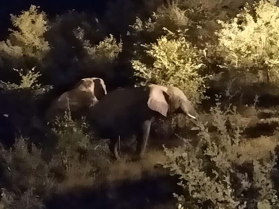 Victoria Falls: Bush Experience and Stargazing D-F-ES-GB - What the two-hour schedule really gives you