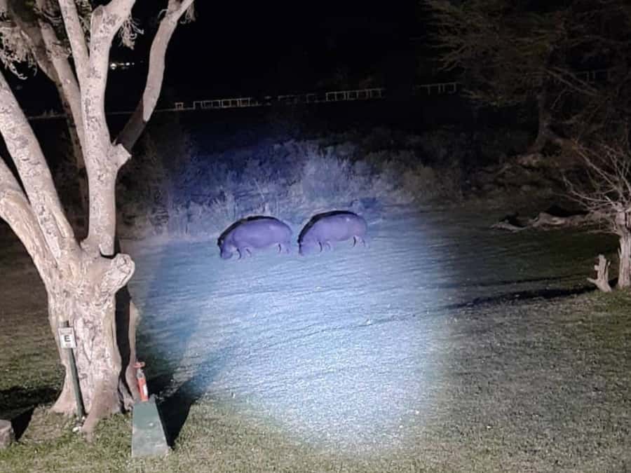 Victoria Falls: Bush Experience and Stargazing D-F-ES-GB - Is $95 a fair price?