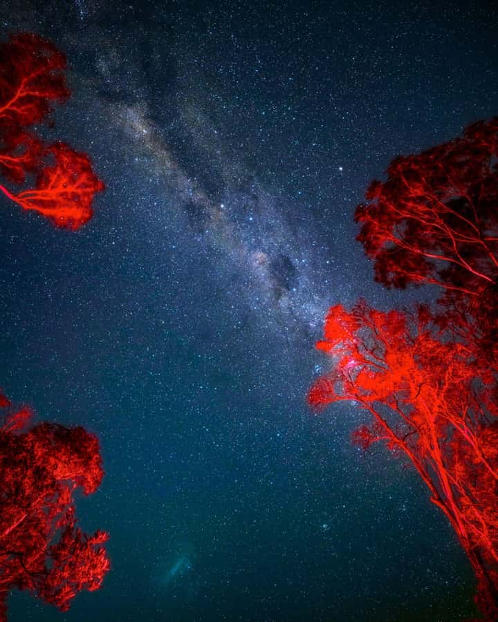 Vincentia: Jervis Bay Beach Stargazing with an Expert - What the $65 price includes