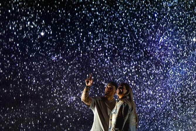 Virtual Stargazing & Astronomy Experience in Lake Tekapo - Should you book the Dark Sky Project experience?