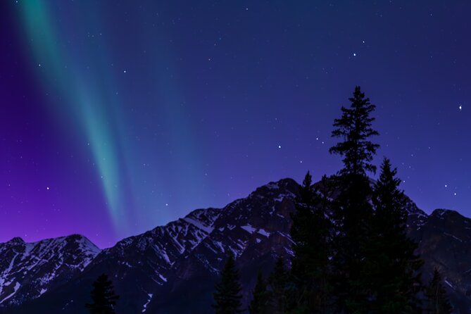 Wildlife Wild Skies: Jasper Planetarium Combo - Starting with Jasper’s wild mountain animals
