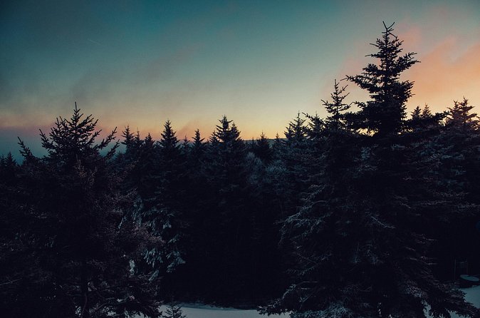 Wildlife Wild Skies: Jasper Planetarium Combo - Booking, cancellation, and basic details