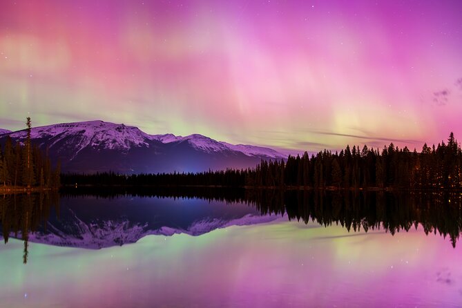 Wildlife Wild Skies: Jasper Planetarium Combo - Why the minibus setting matters